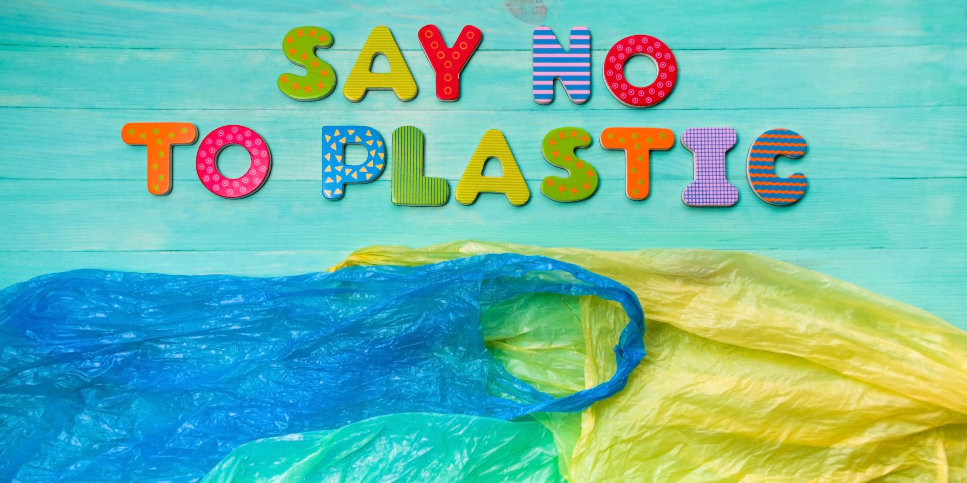 Bans Plastic Bags